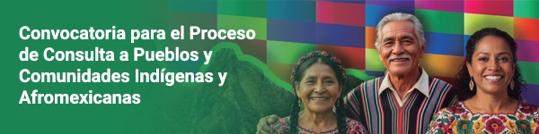 CONVOCATORIA PARA EL PROCESO DE CONSULTA A PUEBLOS Y COMUNIDADES INDÍGENAS Y AFROMEXICANAS