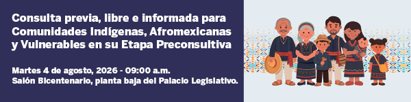 CONVOCATORIA PARA EL PROCESO DE CONSULTA A PUEBLOS Y COMUNIDADES INDÍGENAS Y AFROMEXICANAS